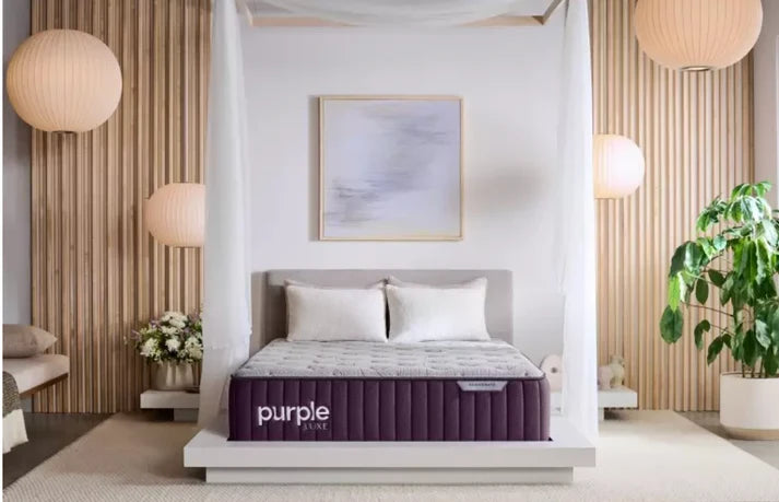 Purple Rejuvenate